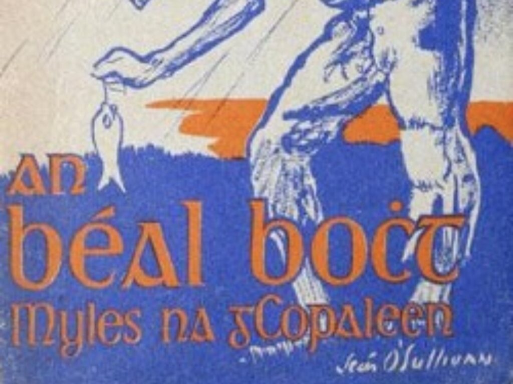 Book cover with old irish text