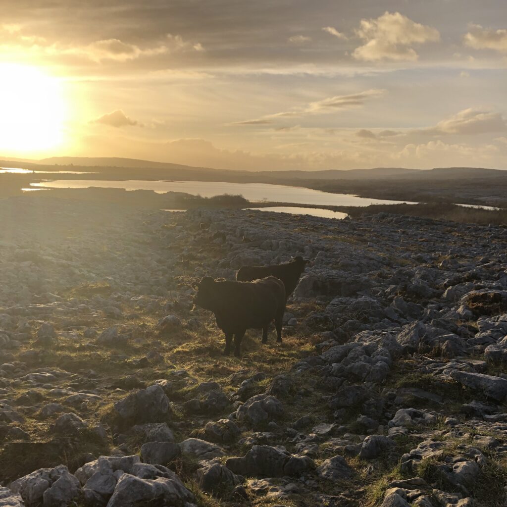 A sunset on a rocky landscape. There is a lake in the distance, reflecting the setting sun.