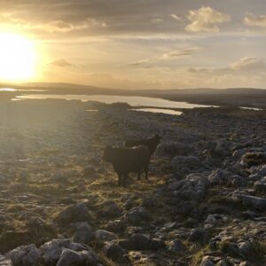 A sunset on a rocky landscape. There is a lake in the distance, reflecting the setting sun.