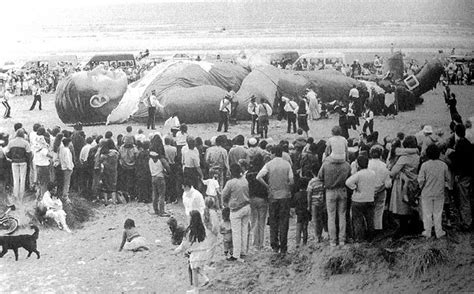 Black-and-white A giant man on a beach, surrounded by onlookers of normal size.